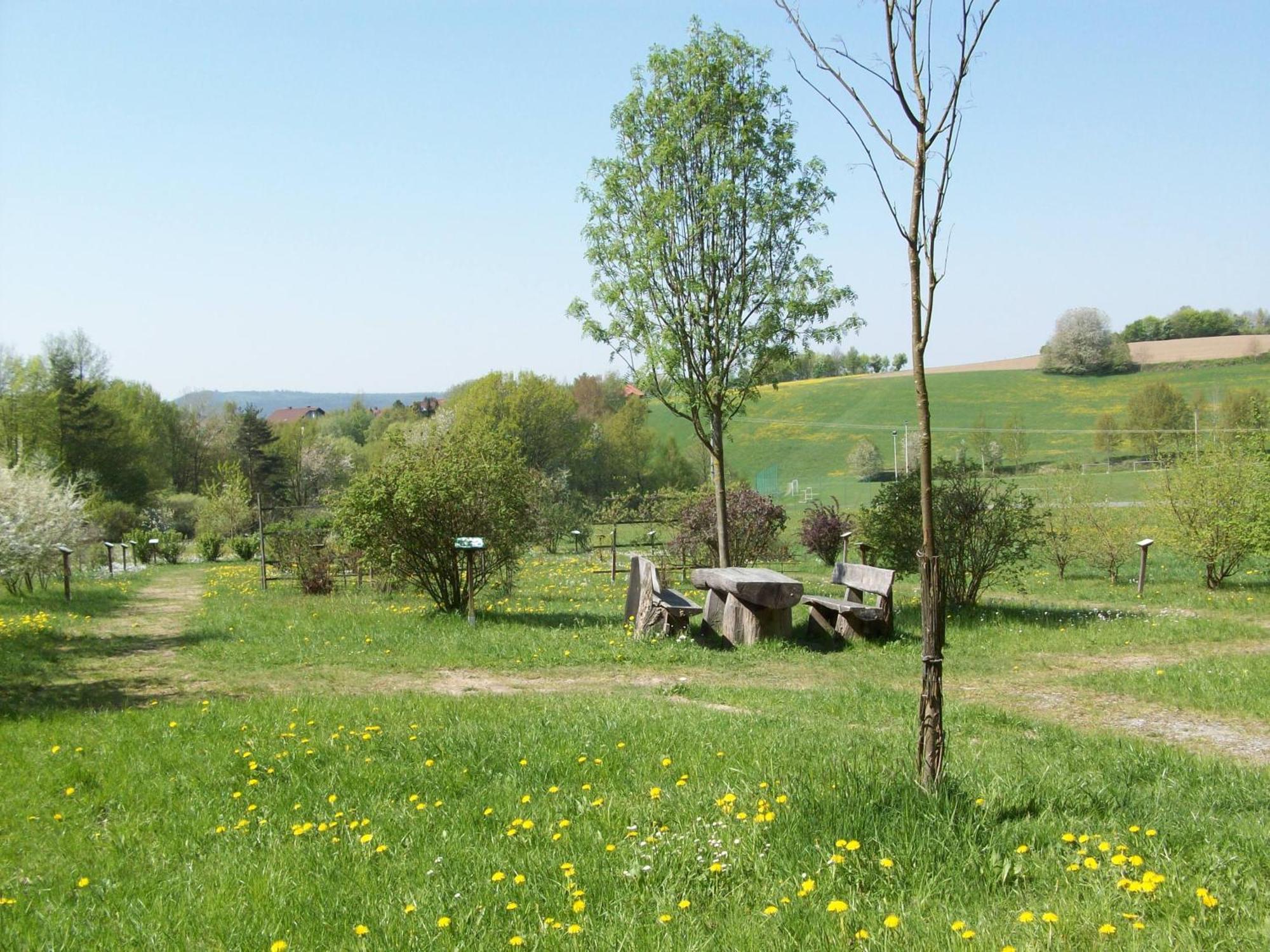 Blockhaus Hedwig Vila Stamsried Exterior foto