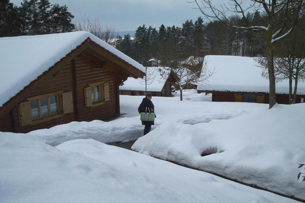 Blockhaus Hedwig Vila Stamsried Exterior foto
