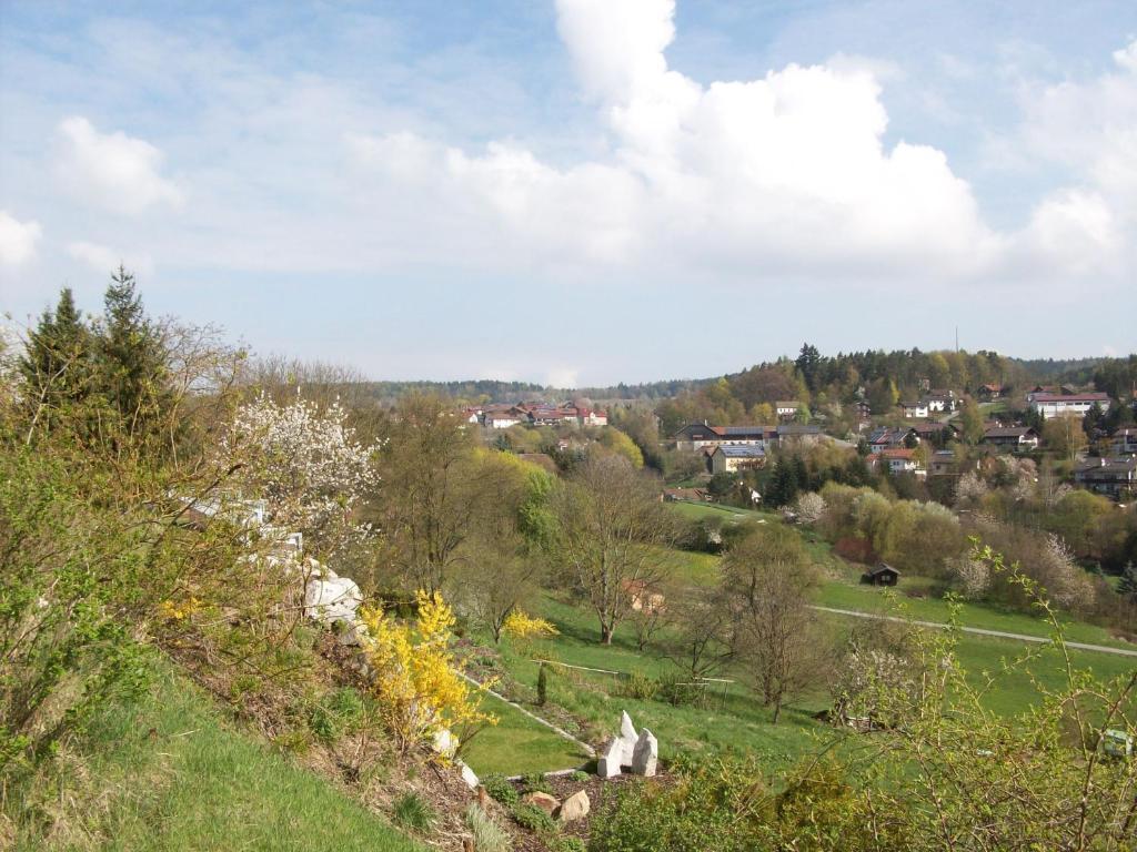 Blockhaus Hedwig Vila Stamsried Exterior foto